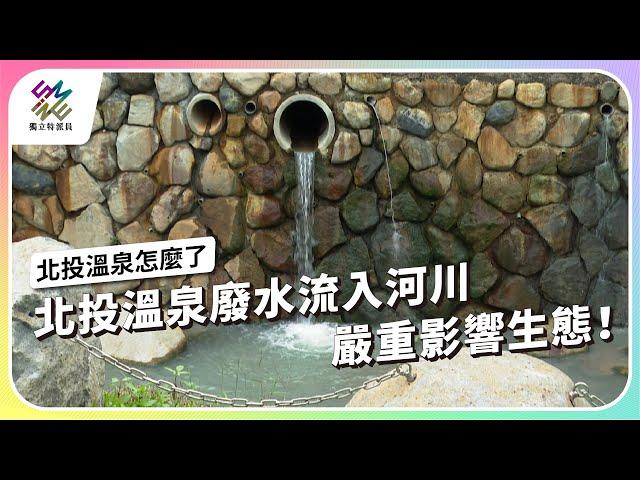 北投溫泉廢水流入河川，嚴重影響生態！｜北投溫泉怎麼了｜公視 #獨立特派員 第859集 20240703