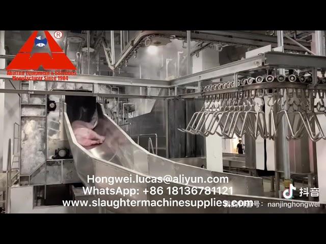 Pig Slaughterhouse Pork Meat Processing Plant Modern Hog Abattoir Meat Production Equipment Factory