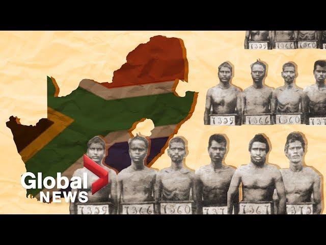 Indian South Africans: The story of indentured labourers