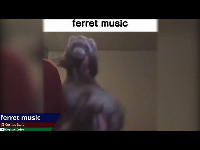 ferret music (QOSC2)