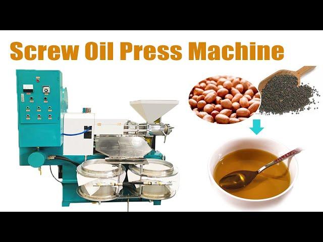 High capacity screw oil press machine from Taizy! Edible oil expeller for commercial use