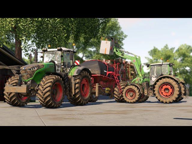 GROWING CANOLA  FARM FARMING SIMULATOR 25 LIVE STREAM