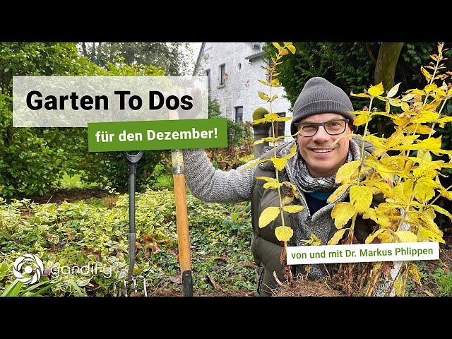 Garten To-Dos im Dezember – Baumschnitt, Stauden teilen, Frostschutz | gardify Tipps