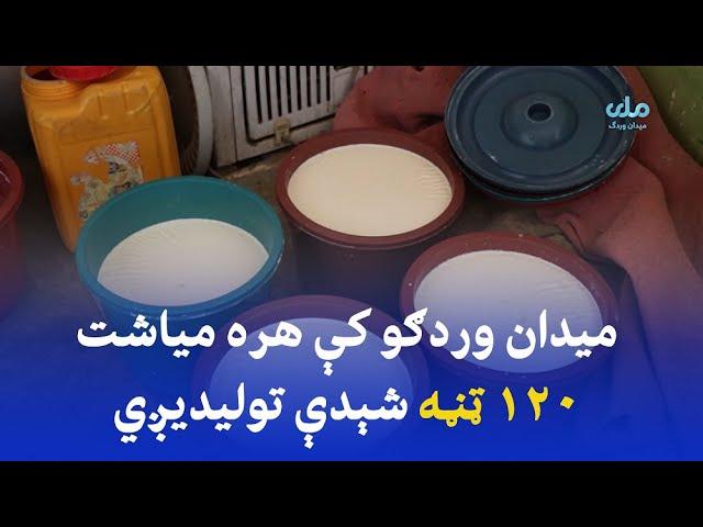 ميدان وردګو کې هره مياشت ۱۲۰ ټڼه شيدې توليديږي