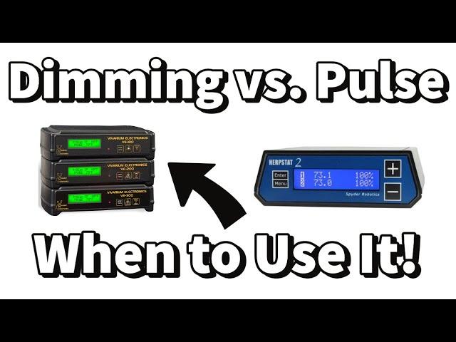 Reptile Thermostats| Dimming vs  Pulse and When To Use!