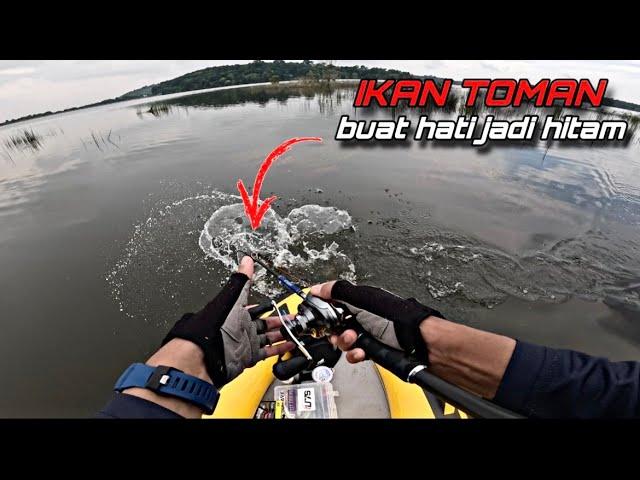 Casting Toman buat hati jadi HITAM gais | metanium dc | Rod ExpTrident #vlog25 #fishing #animals