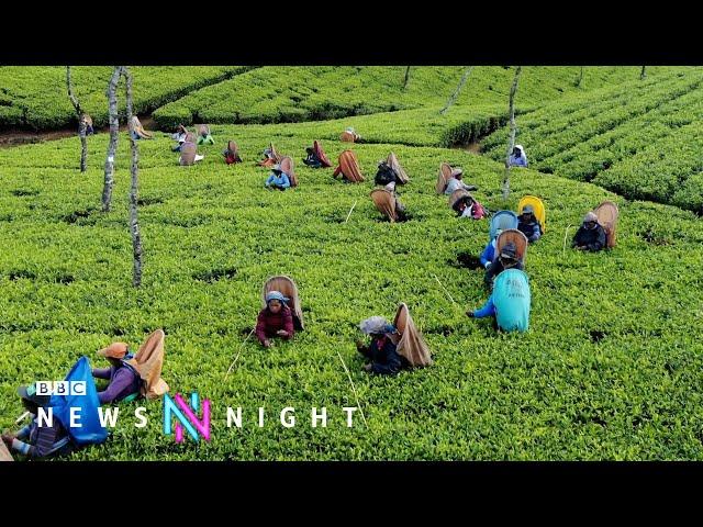 Sri Lanka's Uprising: Has it made any difference to life in the country? - BBC Newsnight