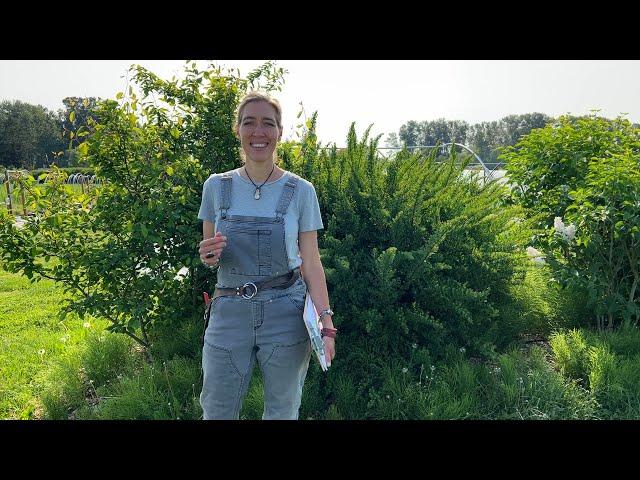Floret Farm Tour: Hedges & Hedgerows