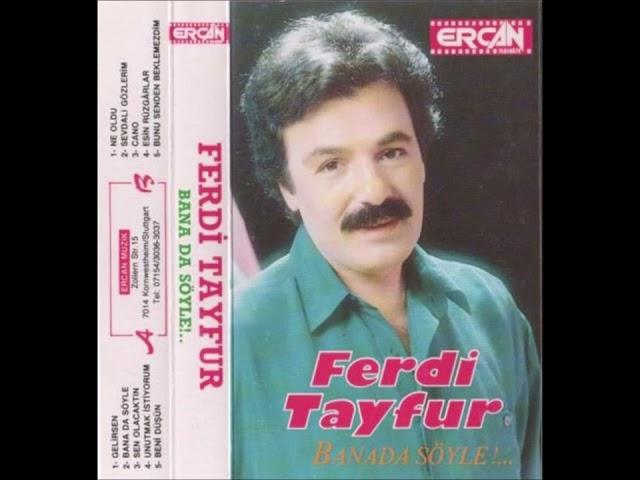 Ferdi Tayfur - Esin Rüzgarlar  ( Ercan Kaset) Alman baskı