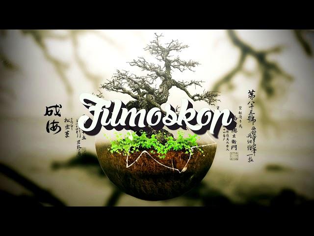 Background Music   Zen by Filmoskop