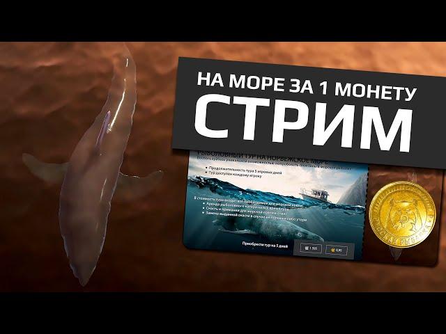 РУССКАЯ РЫБАЛКА 4 - Норвежское море, тур за золото / полноценный фарм серебра для новичков / Стрим 1