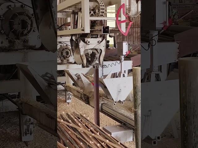 Bamboo segmentation process - mechanization improves efficiency