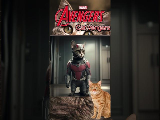 ANTMAN CATVENGERS