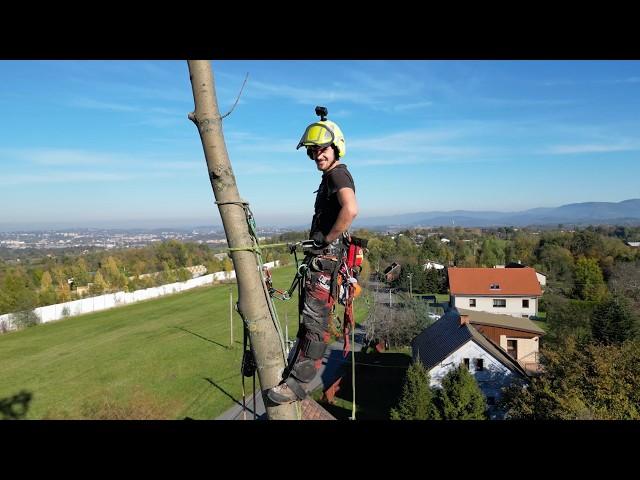 REMOVING a double ASH TREE with a CRACK!