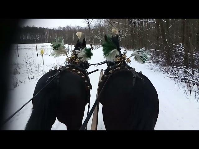 Kulig Zima 2021 Sanie konne vis a vis konie janczary Horse Sleigh Bells Dobroń Poland