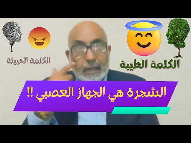 ما هي الكلمة الطيبة ؟ وما هي علاقة الشجرة الطيبة بالجهاز العصبي ؟ | حقائق مذهلة تنشر لأول مرة