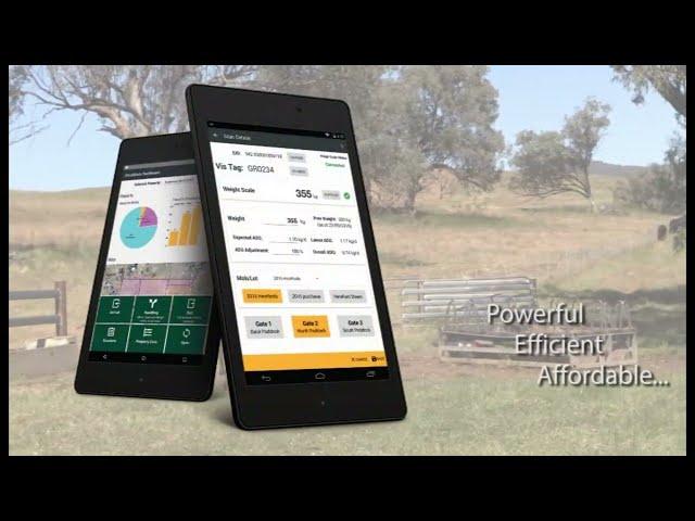 StockMate - the PREMIER Livestock Management Software for Breeders, Graziers & Backgrounders