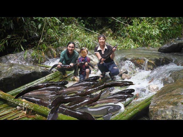 30 days of harvesting stream fish, trapping pigs, building farm life, SURVIVAL ALONE