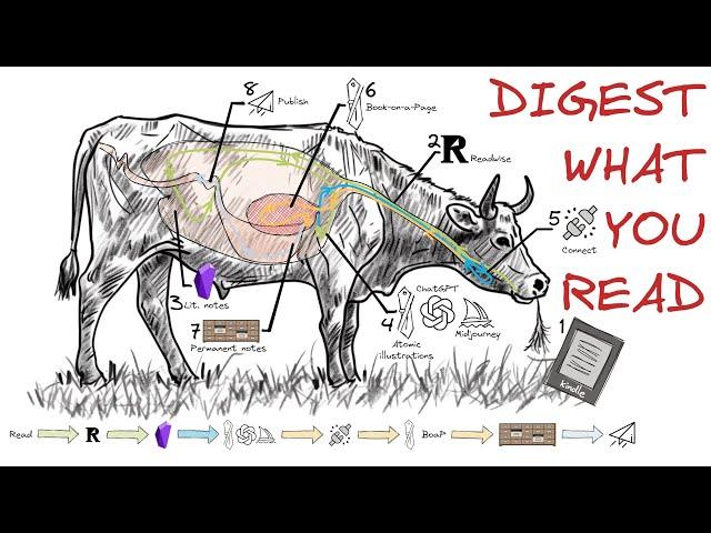 Digest What You Read: Walkthrough of my process for understanding Rationality by Eliezer Yudkowsky