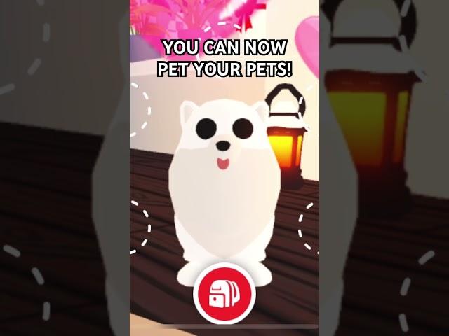 They added petting in Adopt Me! #Roblox #AdoptMe #ForYou