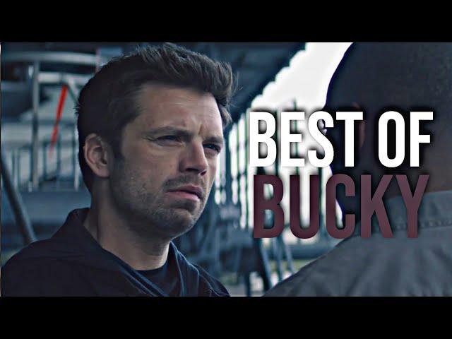 best of bucky | battlestar? stop the car! [tfatws edition]