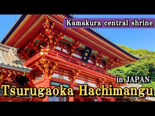 Tsurugaoka Hachimangu Shrine in Kamakura Tralev guide -Shrine in the center of Kamakura-