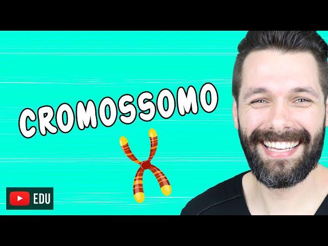 CROMOSSOMOS - DNA - GENE - Qual a relação? | Biologia com Samuel Cunha