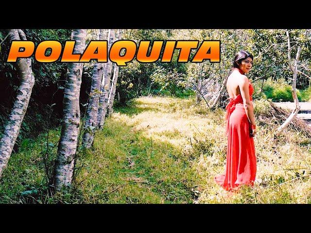 POLAQUITA || Sanjuanito || Ecuador Music || Flutes
