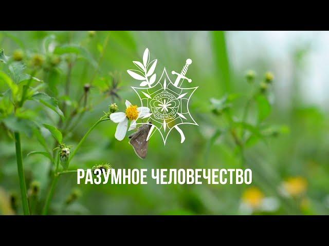 Разумное Человечество На YouTube