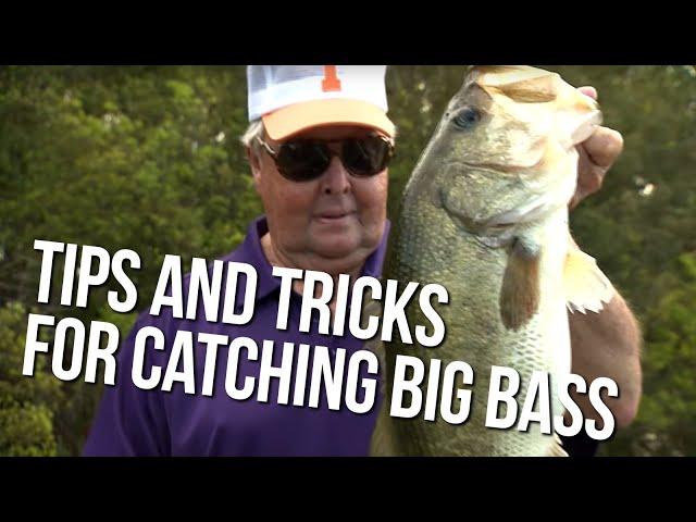 Bill's Tips and Tricks for Catching Big Bass