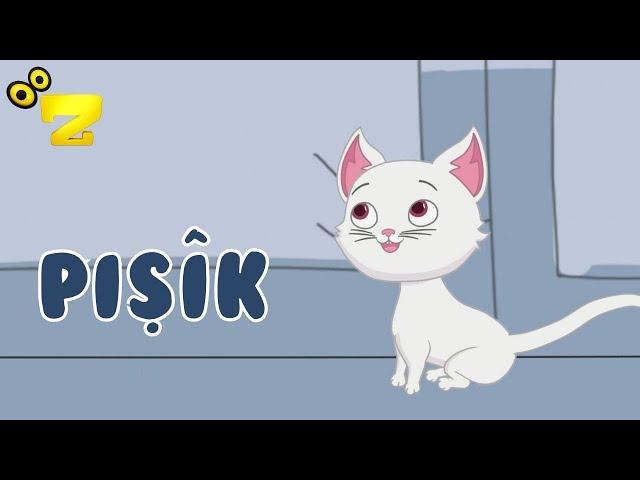 Zarok TV -  PIŞÎK 