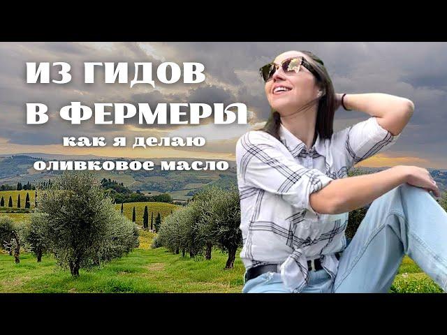 Италия. Жизнь в Тоскане. Делаем ОЛИВКОВОЕ МАСЛО ДОМА. Сбор урожая, отжим, интересные факты