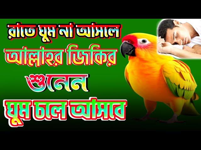 নবীজির মেয়ে মা ফাতেমার মৃ*ত্যুর জিকির | #bangla_jikir | #বাংলা_জিকির @NajmulMkarimganj