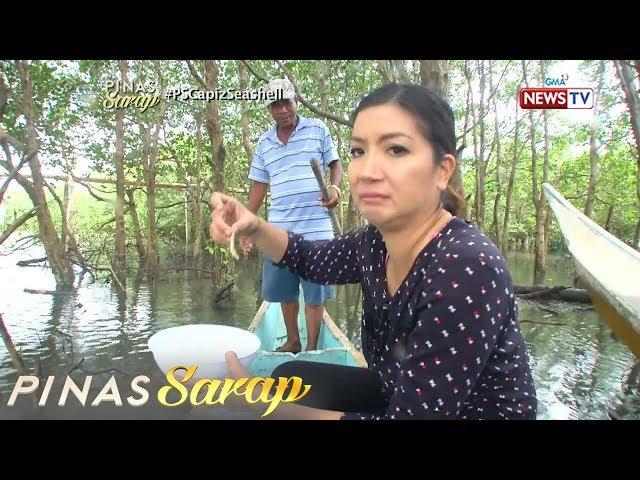 Pinas Sarap: Kara David, nanguha at tumikim ng tamilok sa Capiz