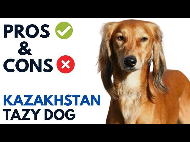 Tazy Dog Pros and Cons | Tazy Dog  Advantages and Disadvantages