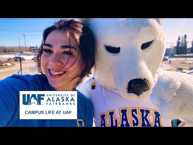 Campus Life at UAF | The College Tour