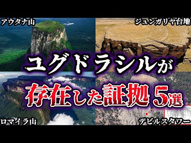 【ゆっくり解説】古代に巨大樹ユグドラシルが存在した証拠５選