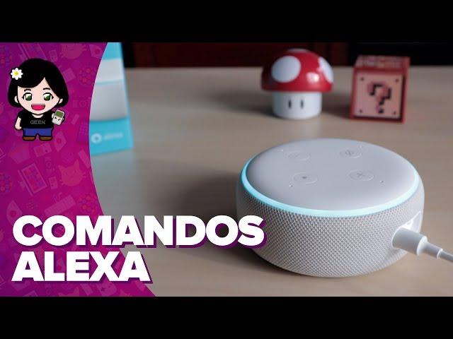 Comandos para ALEXA | ChicaGeek