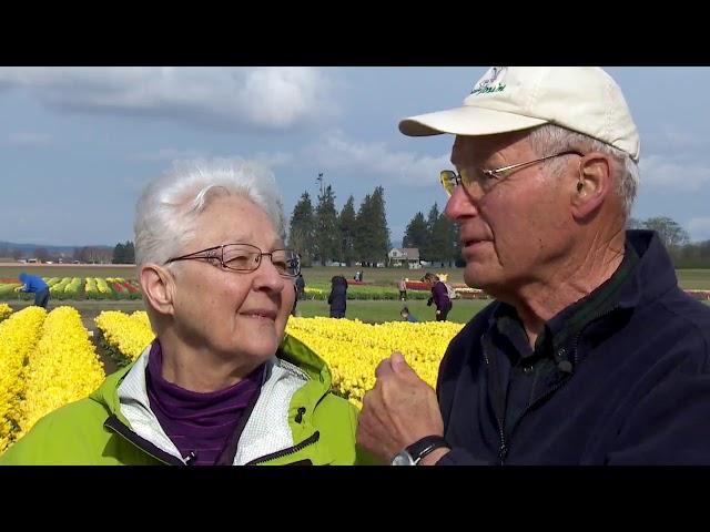 Tulip Town owners face a difficult decision