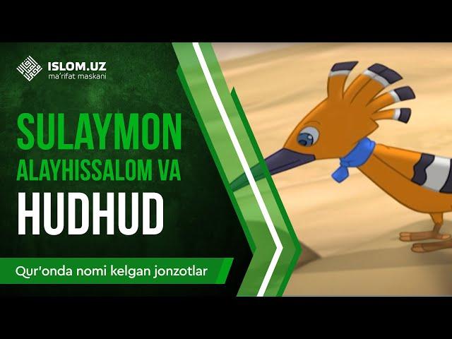 20. Sulaymon alayhissalom va Hudhud (1-qism) | Qur'onda nomi kelgan jonzotlar