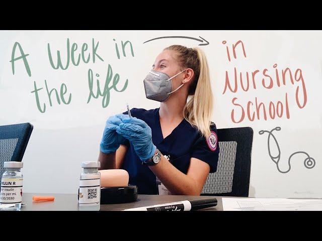 A Week in the Life of a Nursing Student: Starting my second semester