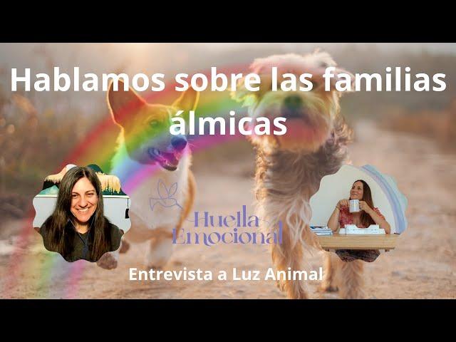 Entrevista Laura Vidal-Huella Emocional y Luz Animal: "Hablando sobre familias álmicas"