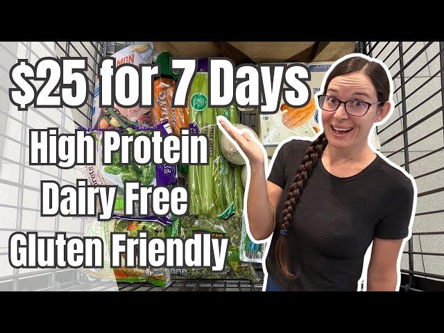 $25 for 7 Days | High Protein, Dairy Free, Low Sugar, and Naturally GF | Single Person Meal Plan