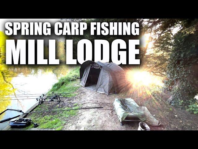 Ep28 - Springtime Carp Fishing At Mill Lodge! - NICAS Syndicate, April 2024