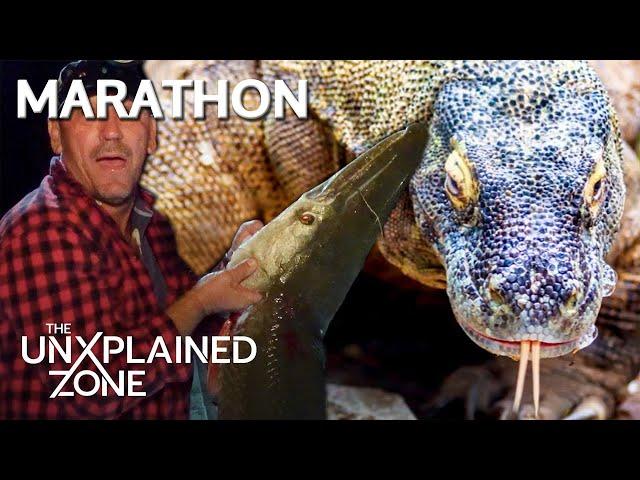 TOP 3 HORRIFYING ANIMALS UNLEASHED (Ft. a SWAMP SHARK) *Marathon* | Swamp Mysteries with Troy Landry