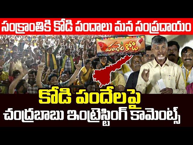 కోడి పందేలపై చంద్రబాబు కామెంట్స్ Chandrababu Interesting Comments on Sankranthi Kodi Pandalu