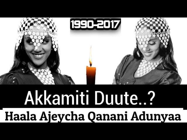 OMN: ODDU AMME - Qanani Adunya akkamin Akka Lubbun Darbe fi Haala Ajeycha Ishi irrati Icciti Caqasaa