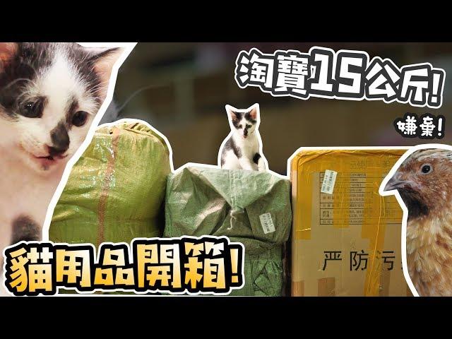 淘寶15公斤!貓用品開箱!貓鳥玩具!寵物太空背包!【許伯簡芝】 貓09