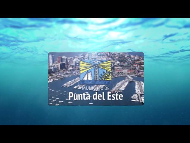 Punta Es 2017 - Canal Once - Punta del Este .