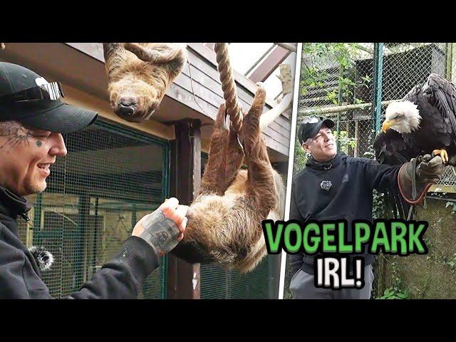 FAULTIERE FÜTTERN & von Vogel GEBISSEN!  LIVE aus dem Vogelpark ft. Giggsen | MontanaBlack IRL